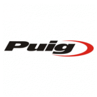 Puig BMW S1000RR Racing Screen 2015+