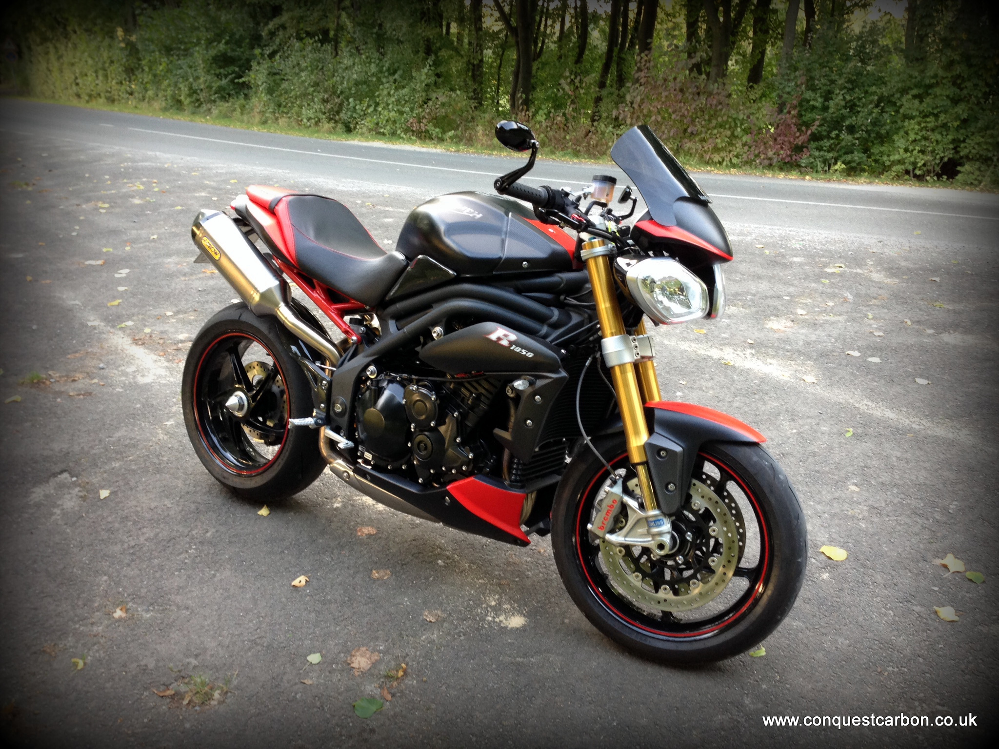 Speed triple 2024 r 2013