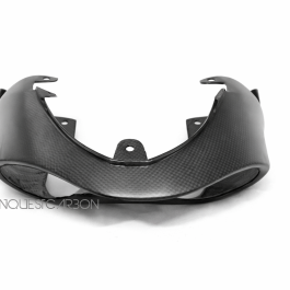 Triumph Speed Triple 1050 Carbon Fibre Tail Light Cover Satin 2011-2020 Triumph Speed Triple 1050 Carbon Fibre Tail Light Cover Satin 2011-2020