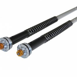 Andreani Adjustable Cartridge Kit Ducati Hypermotard SP (Marzocchi 50 Fork)