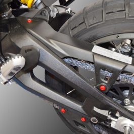 Ducabike Ducati DesertX Swingarm Screw Kit
