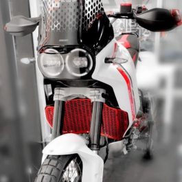 Ducabike Ducati DesertX Radiator Protector Guard