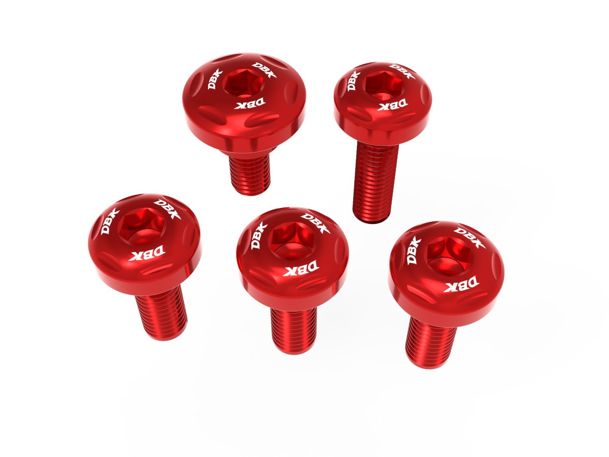 Ducabike Ducati Panigale V4 LHS Under Tank Panel Screw Kit 2025+ - Image 5