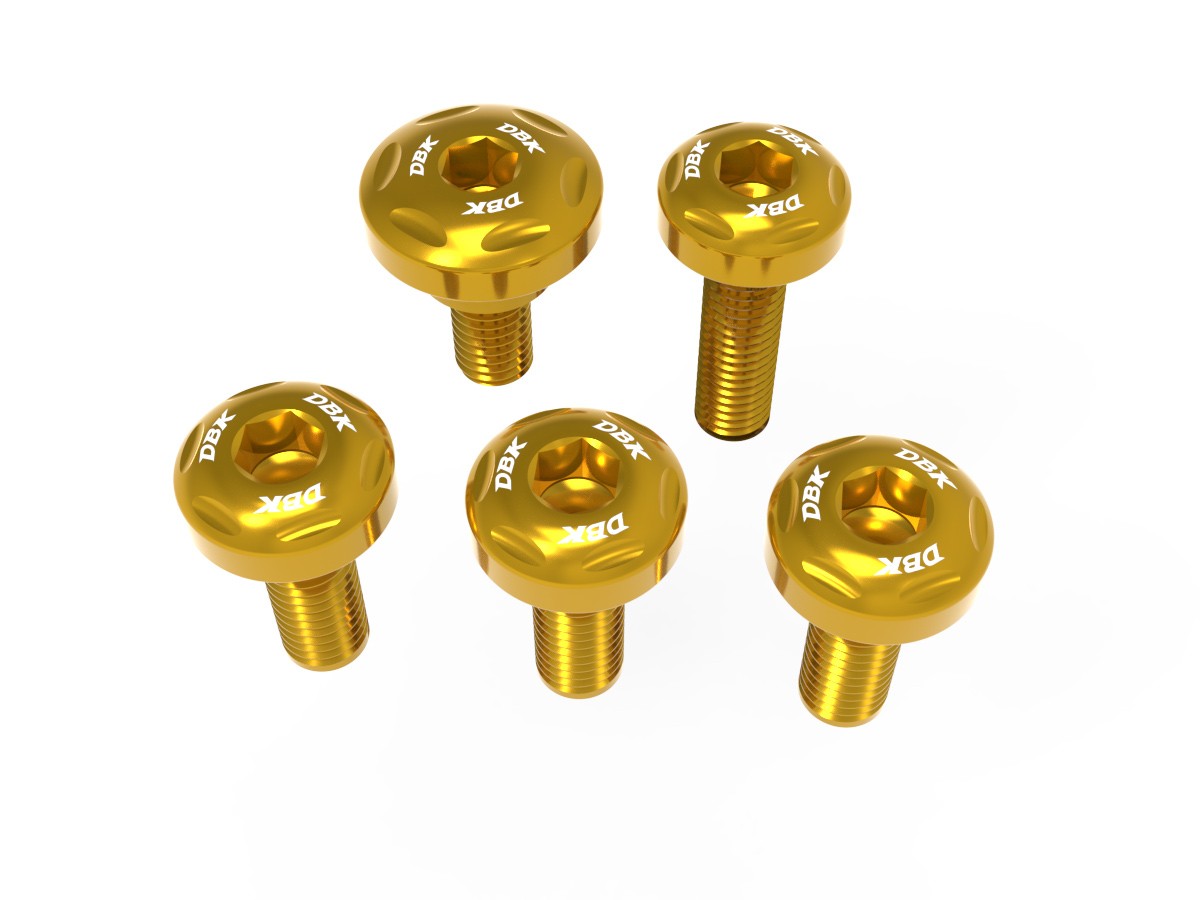 Ducabike Ducati Panigale V4 LHS Under Tank Panel Screw Kit 2025+ - Image 4