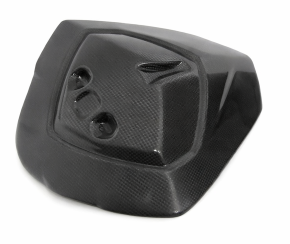 Triumph Speed Triple 1050 Carbon Fibre Passenger Seat Cover Satin 2016-20