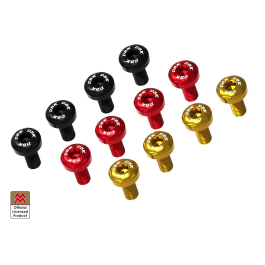 DBK Moto Morini Seiemmezzo SCR / STR Radiator Side Panel Screw Kit