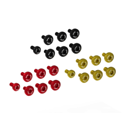 Ducabike Ducati Left Engine Panel Screw Kit